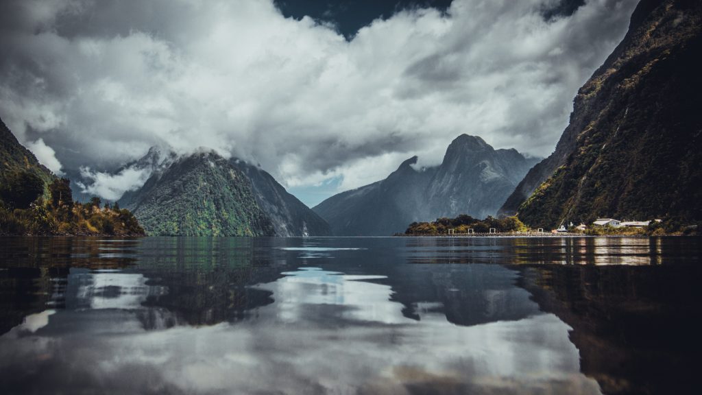 New zealand move