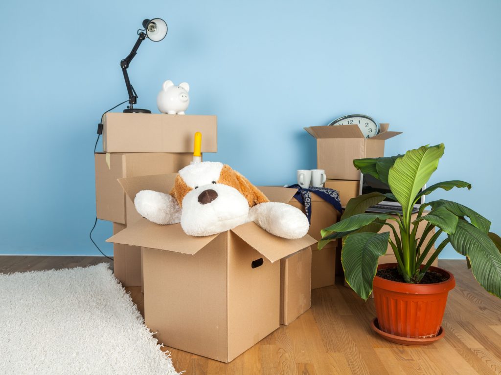 Best Boxes for Personal Shipping?